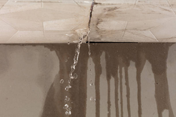 Professional Water Damage Repair technician working in Little Elm, TX